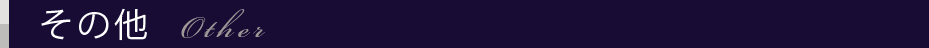 その他