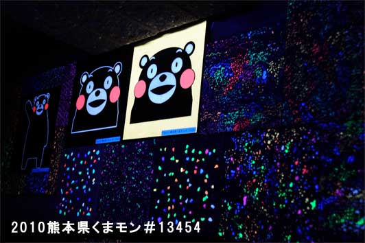 夜間・ブラックライト照射